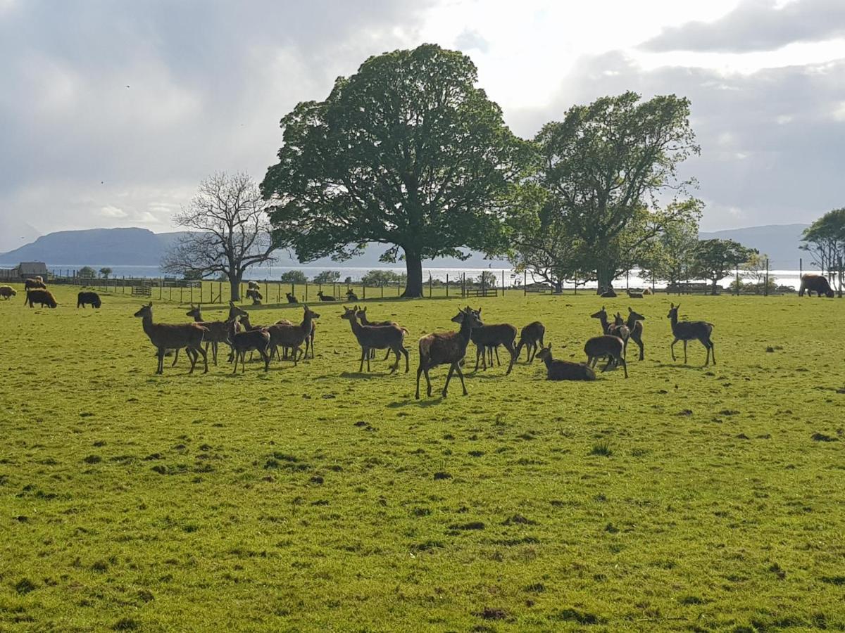 Applecross B&B Eksteriør billede