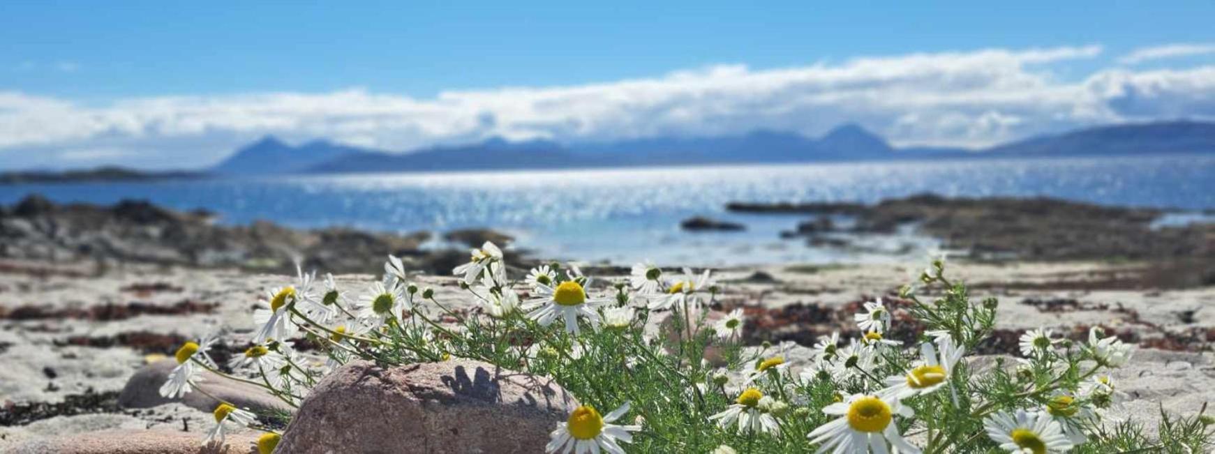 Applecross B&B Eksteriør billede